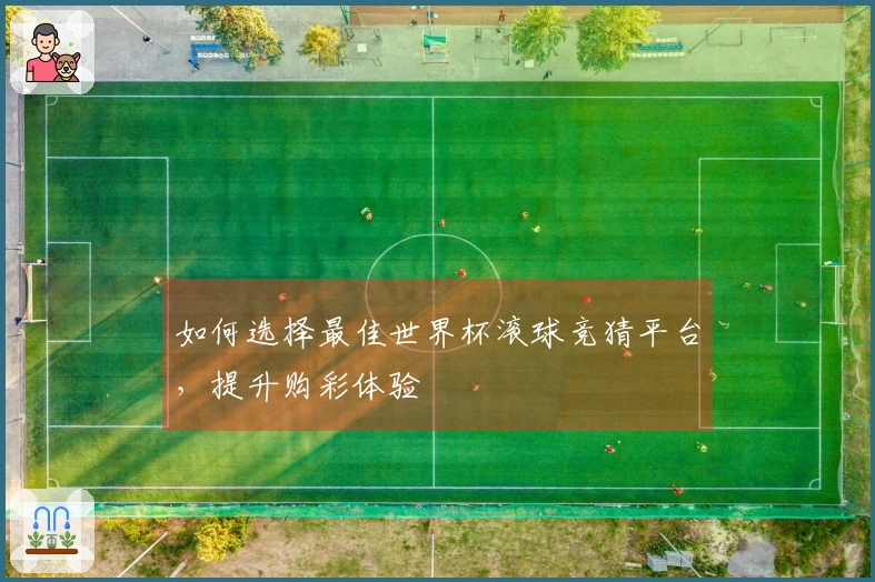 如何选择最佳世界杯滚球竞猜平台，提升购彩体验