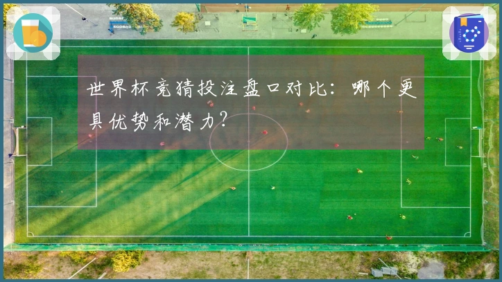 世界杯竞猜投注盘口对比：哪个更具优势和潜力？