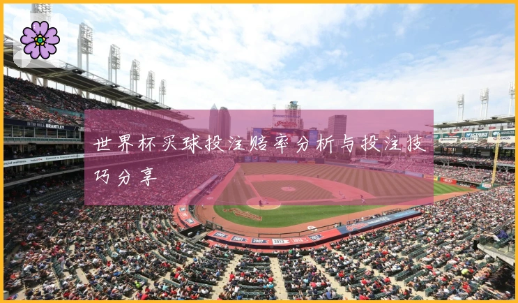 世界杯买球投注赔率分析与投注技巧分享
