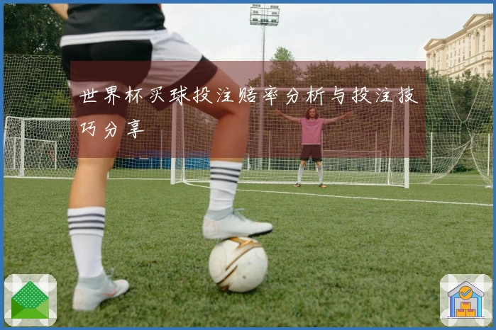 世界杯买球投注赔率分析与投注技巧分享