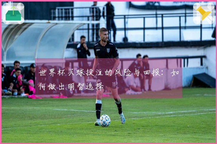 世界杯买球投注的风险与回报：如何做出明智选择