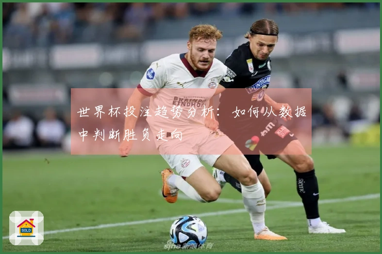 世界杯投注趋势分析：如何从数据中判断胜负走向