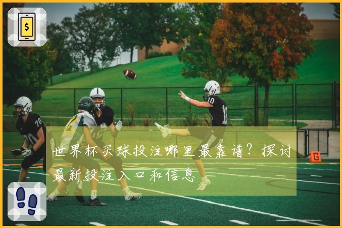 世界杯买球投注哪里最靠谱?探讨最新投注入口和信息
