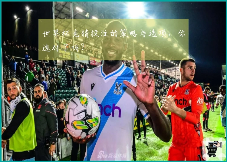 世界杯竞猜投注的策略与选项,你选对了吗?