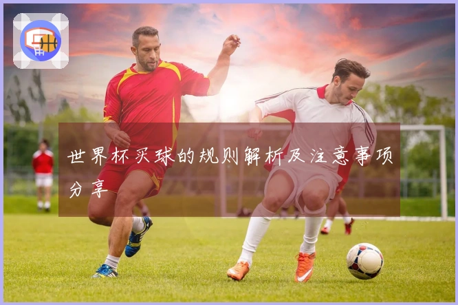 世界杯买球的规则解析及注意事项分享