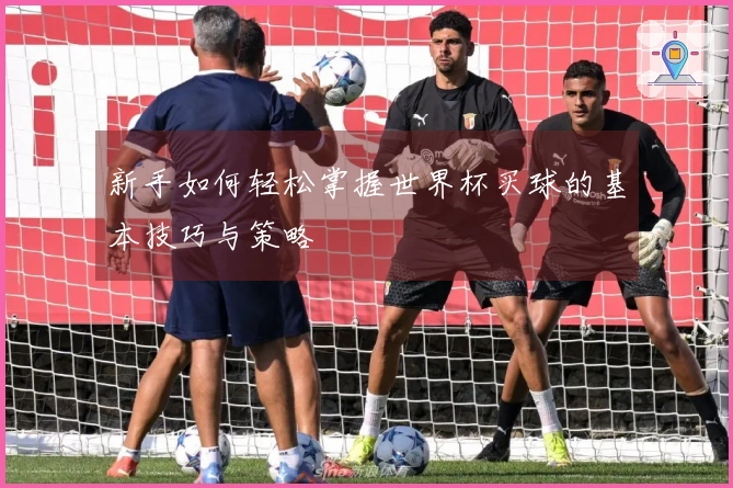 新手如何轻松掌握世界杯买球的基本技巧与策略